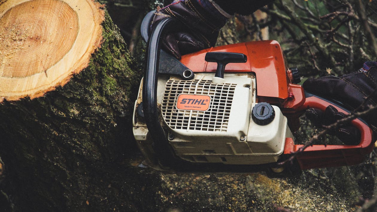 Tree Trimming