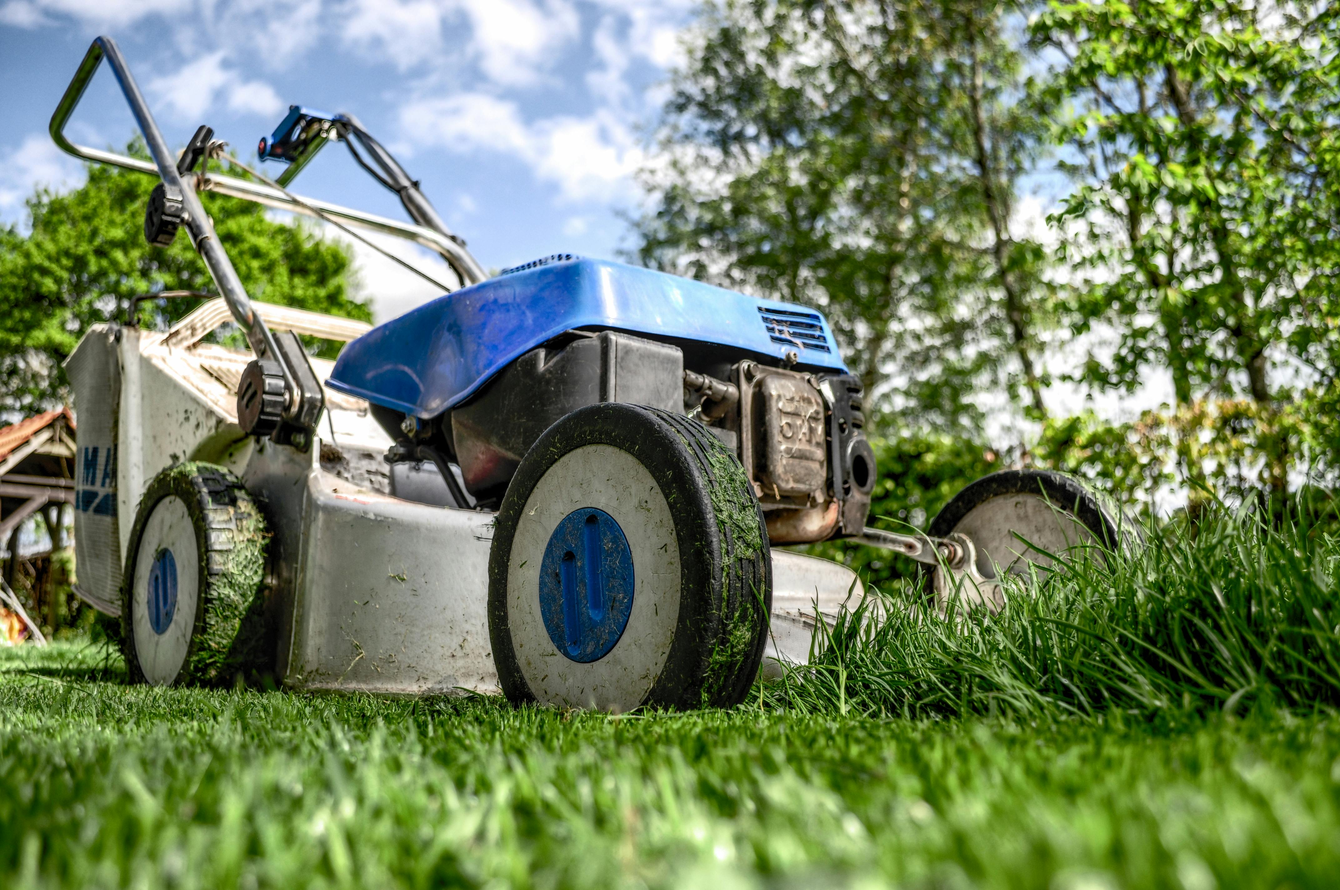Professional lawn mowing service