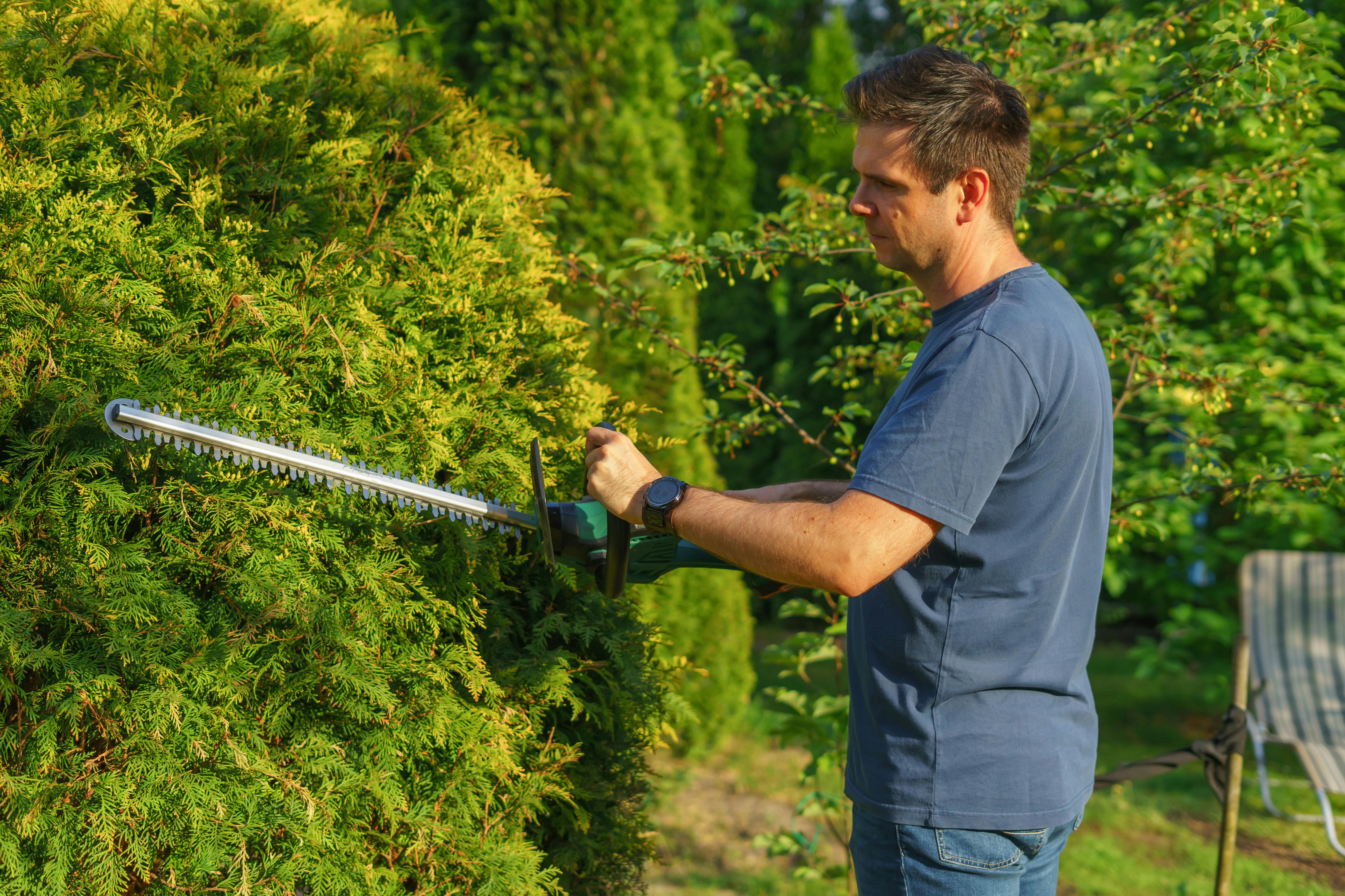 Bush Trimming