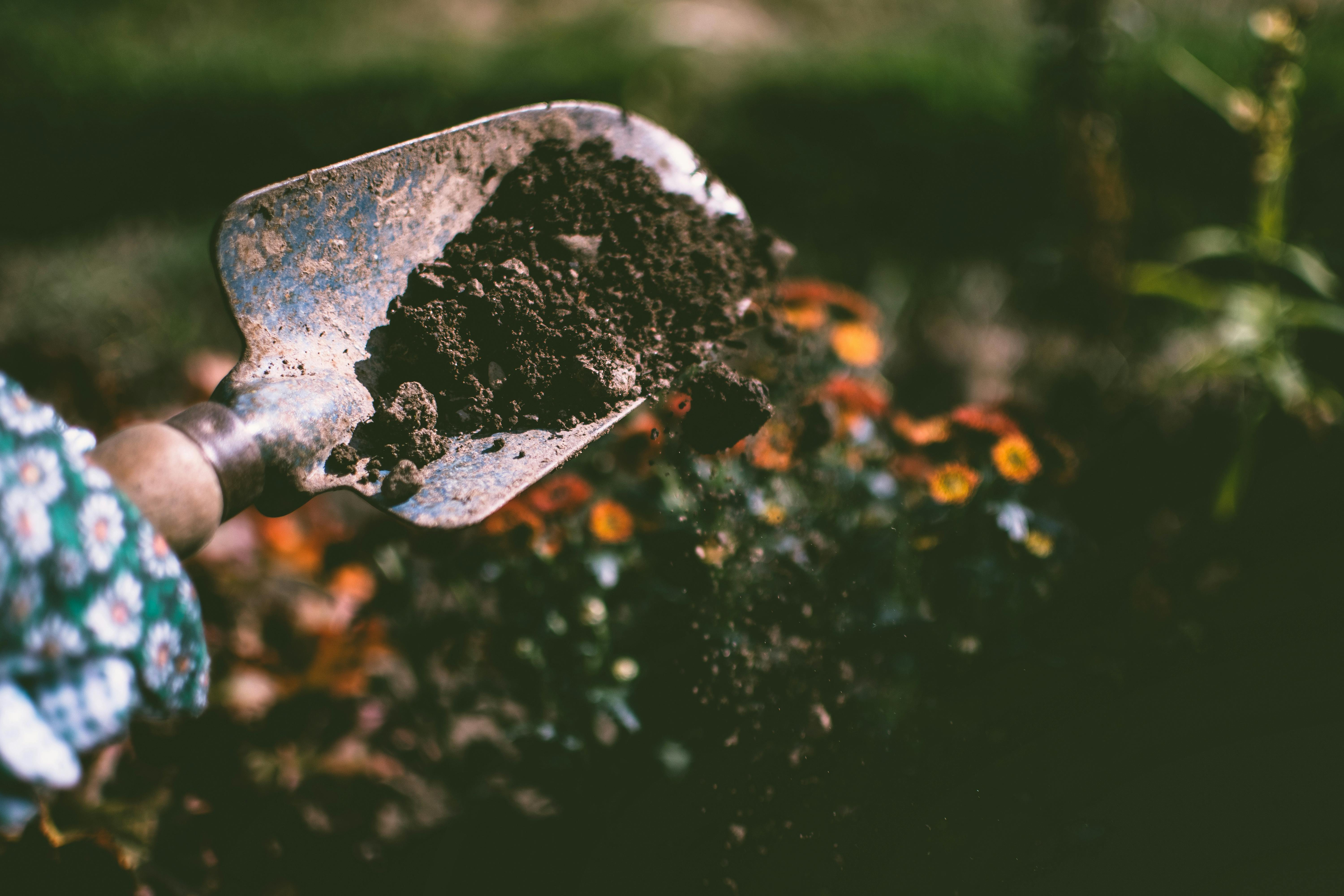 Garden Care
